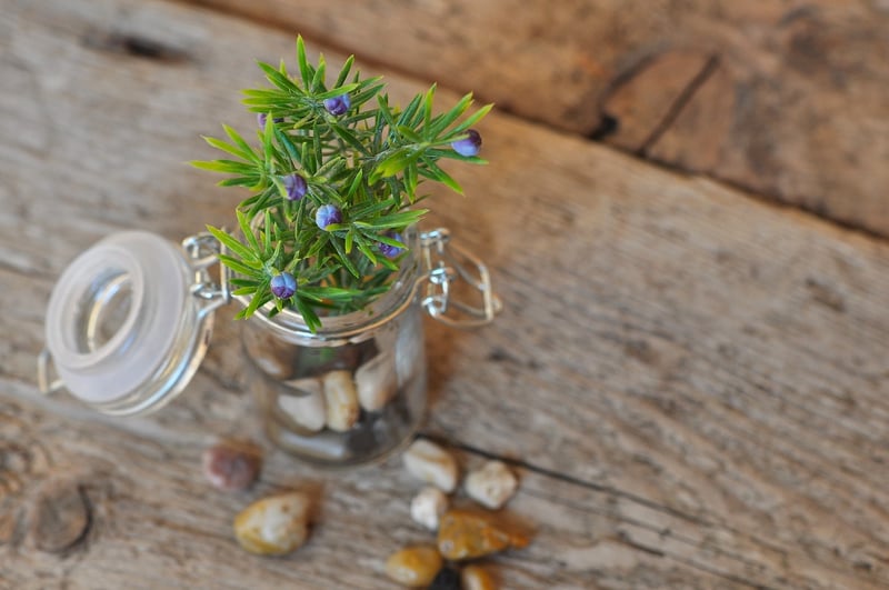 Decorative accents